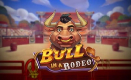 Bull in a Rodeo
