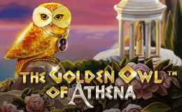 The Golden Owl of Athena