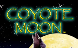 Coyote Moon
