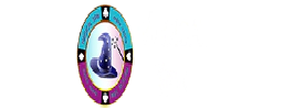 Magical Spin